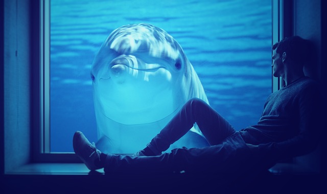 AI 음성 분석으로 본 돌고래 언어의 비밀