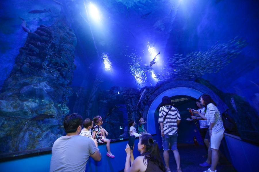 다누리 아쿠아리움 / 출처=단양군