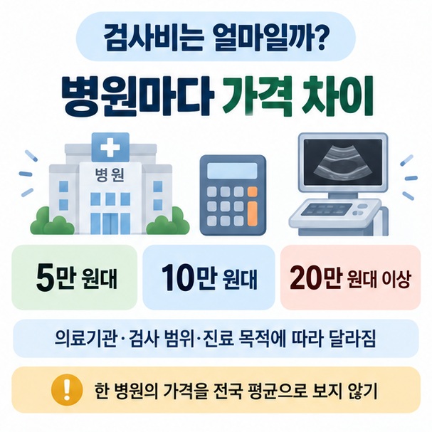 경동맥 초음파 비급여 비용이 병원과 검사 범위에 따라 달라지는 이유 인포그래픽