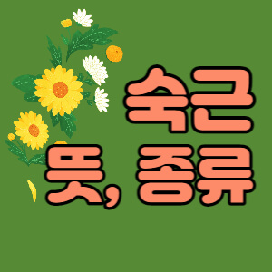 숙근-뜻-종류-대표섬네일