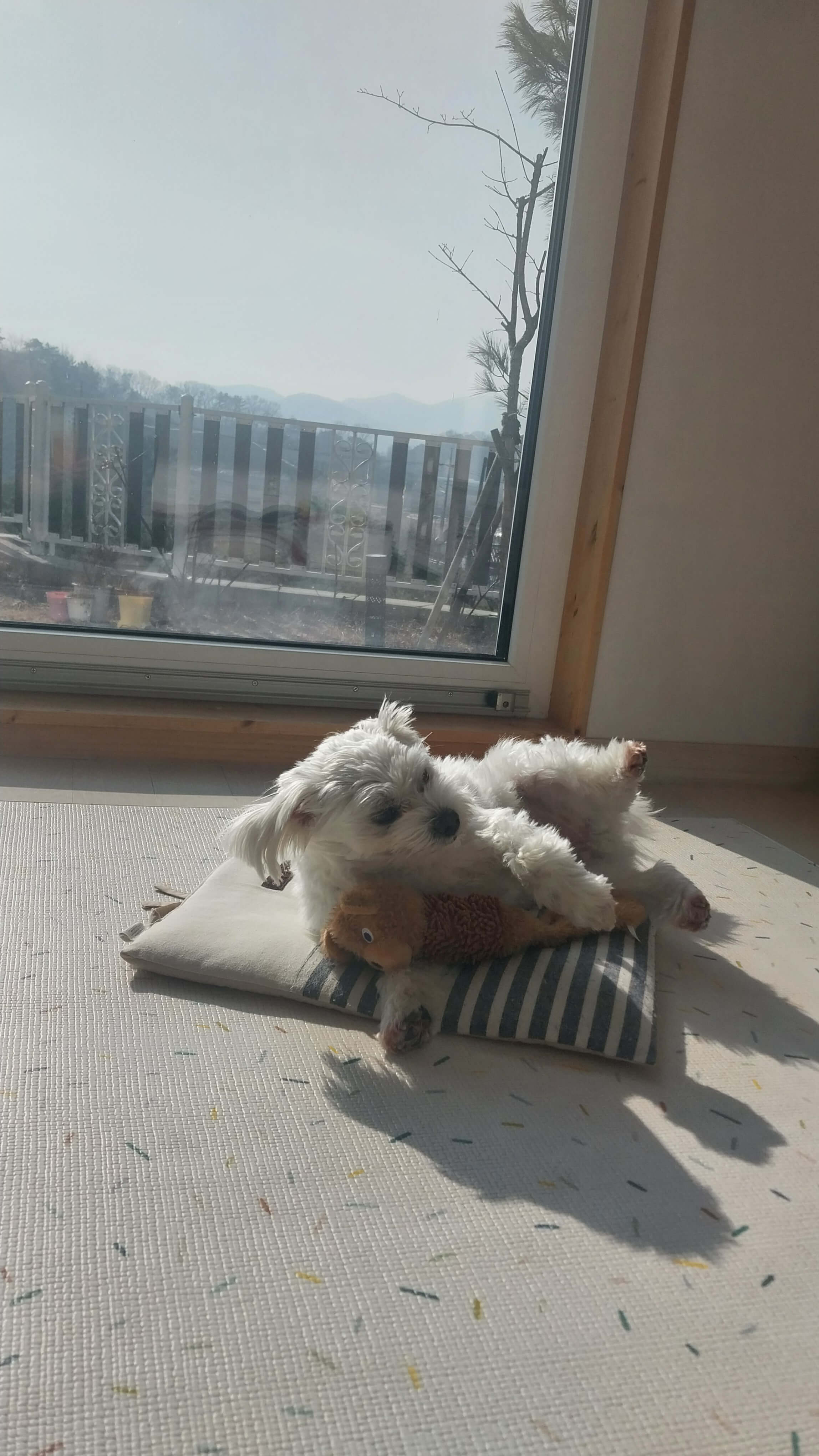 지브리 스타일 AI 그림