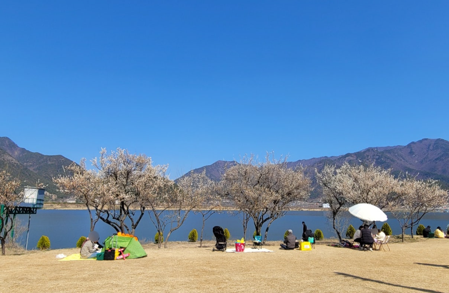 김해 용당나루매화공원1