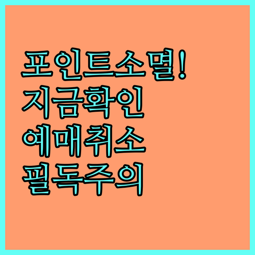 연말 청년문화예술패스 포인트 소멸 주..