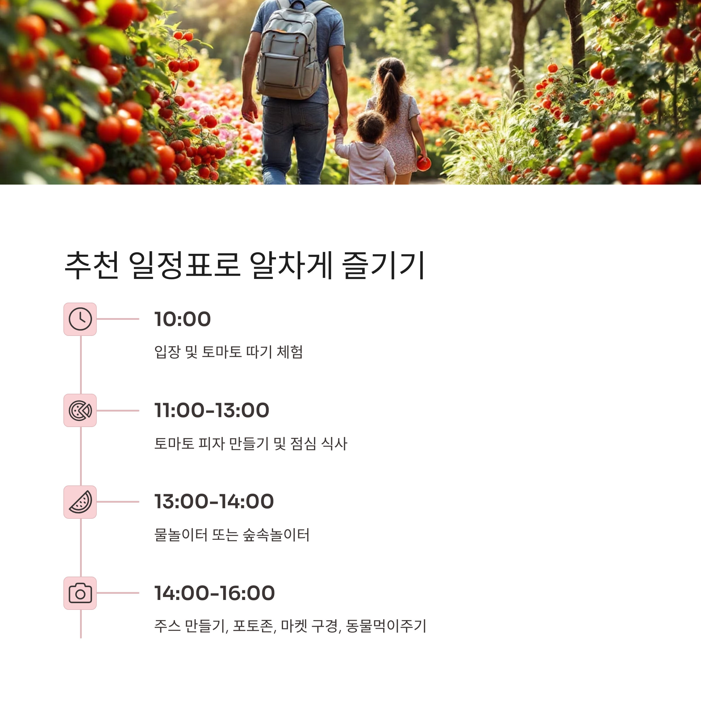 초여름 농장의 싱그러움, 율봄식물원 토마토 시즌 체험 가이드
