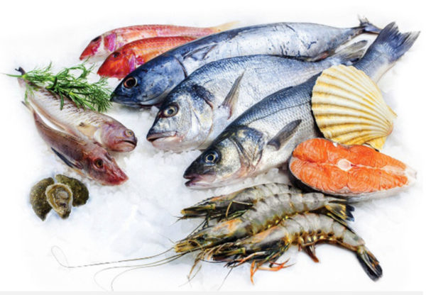 수산물품질관리사