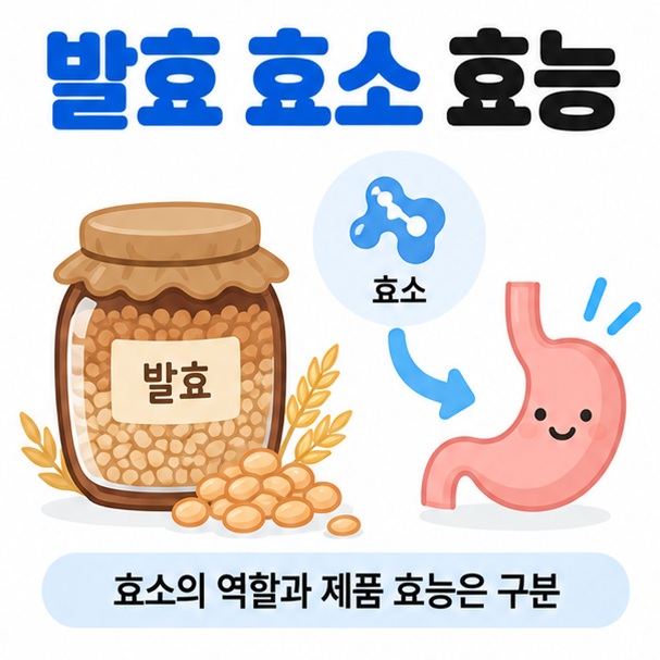 곡물 발효와 효소 아이콘을 중심으로 발효 효소 효능 문구를 보여주는 대표 카드뉴스 이미지