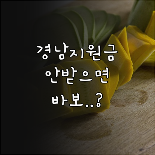 경남 생활지원금 지역상품권 사용법과 ..