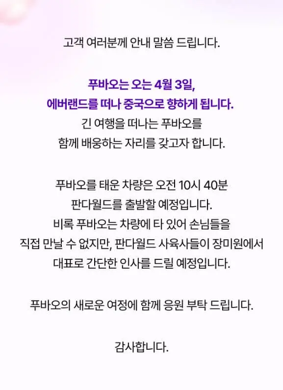푸바오-반환
