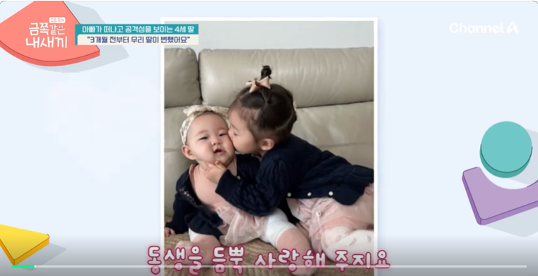 금쪽같은-내새끼-201회