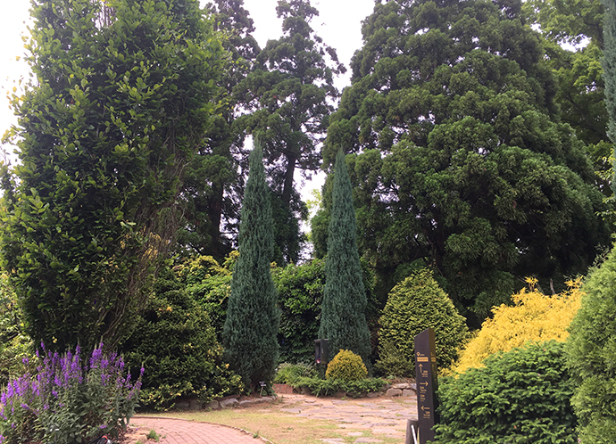 기념관-근처-식물들