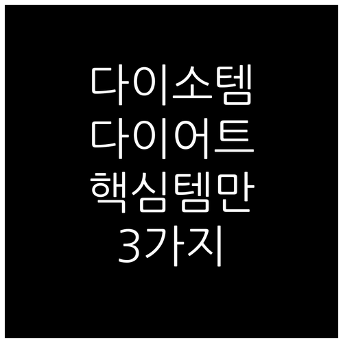 다이소 다이어트템 3가지 핵심 가이드