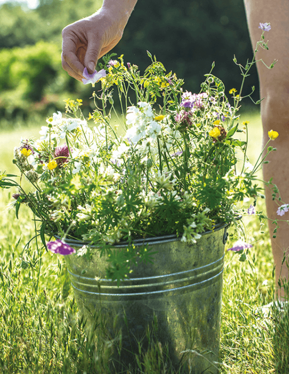 LOE 디퓨저 120ml & 핸드크림 50ml