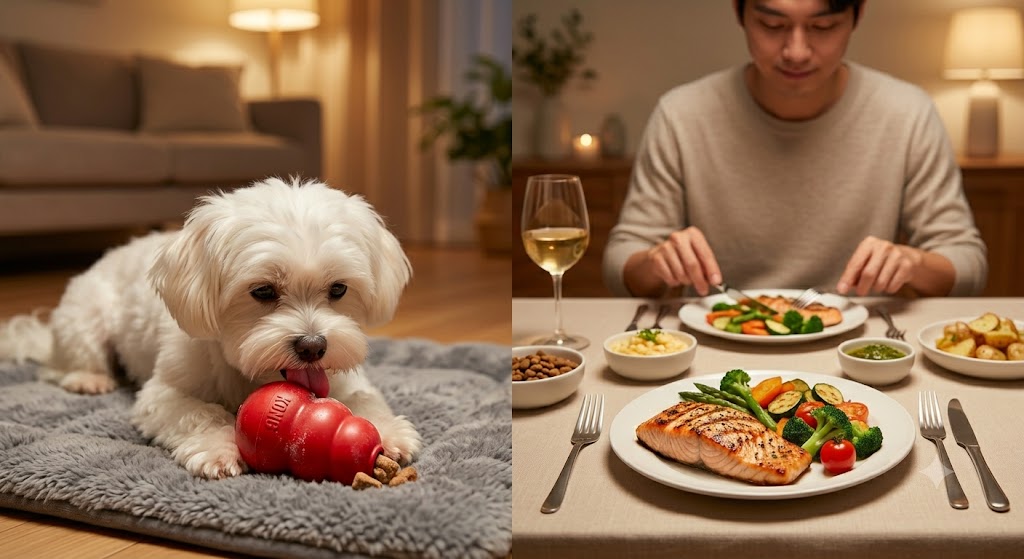 강아지 식탁 앞 행동 훈련 방법 이미지