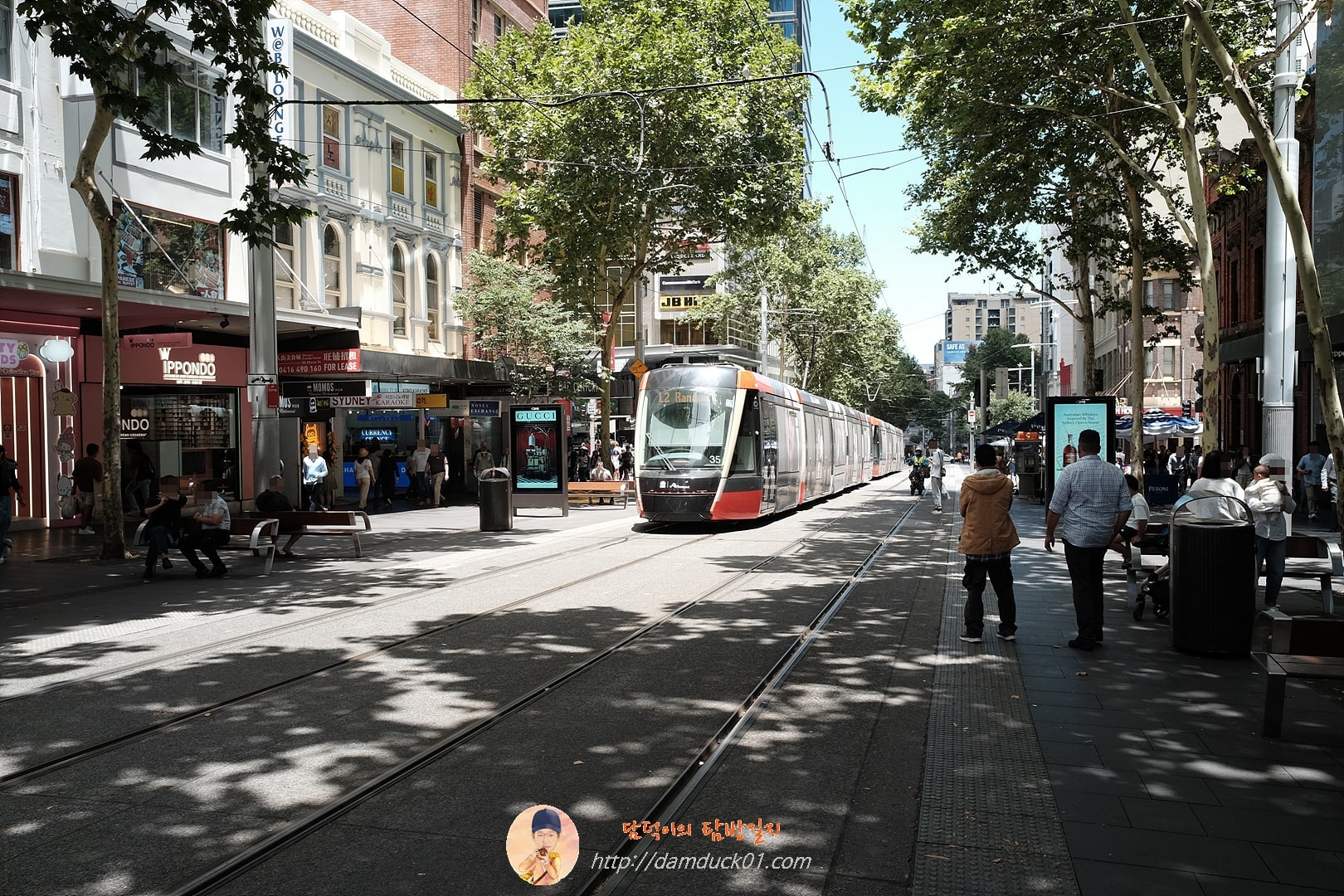 2024년 12월 19일 시드니