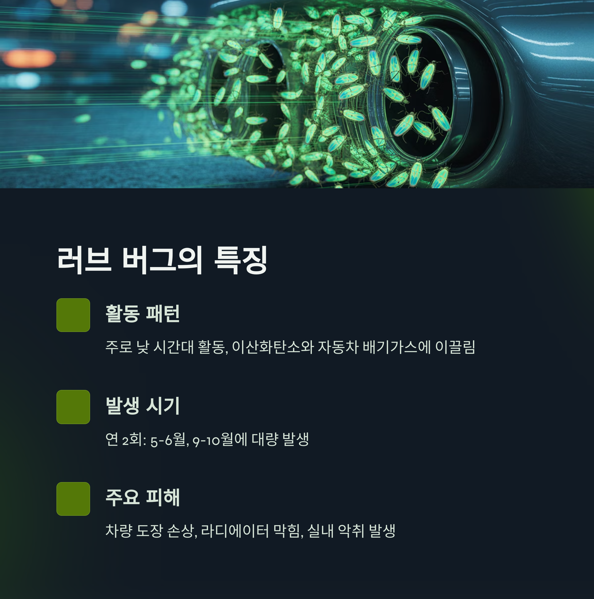 낮 시간대에 활동