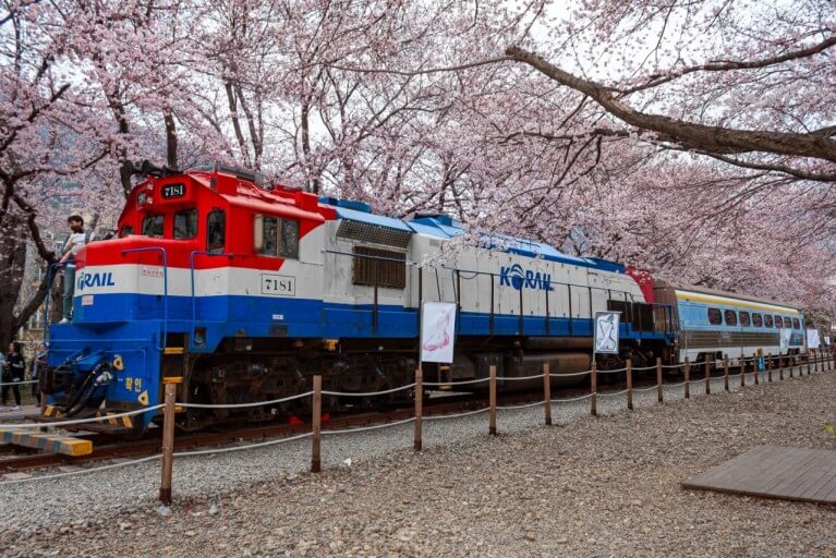 꽃놀이 명소 Best 5 추천