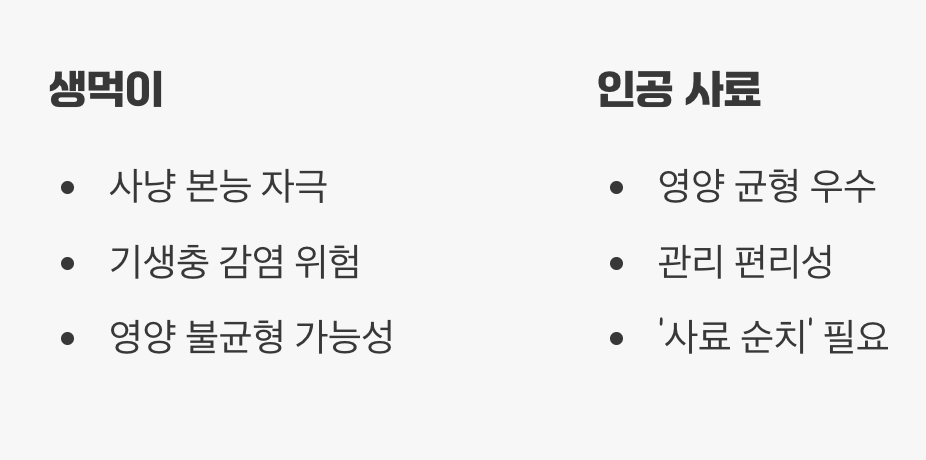 살아있는 먹이 vs 사료, 무엇을 줄까?