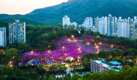 군포철쭉축제 공식 홈페이지 저녁 풍경