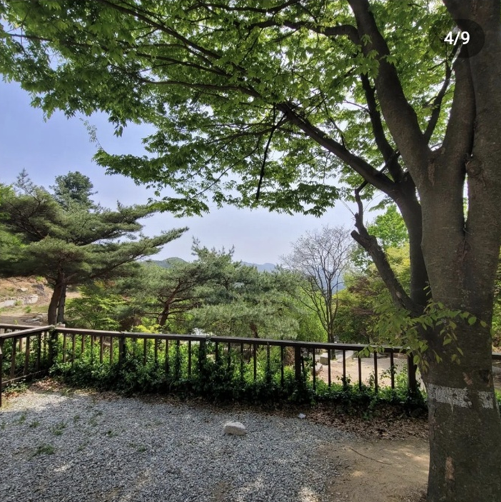 경기-포천-유식물원-캠핑장-사진-입니다.