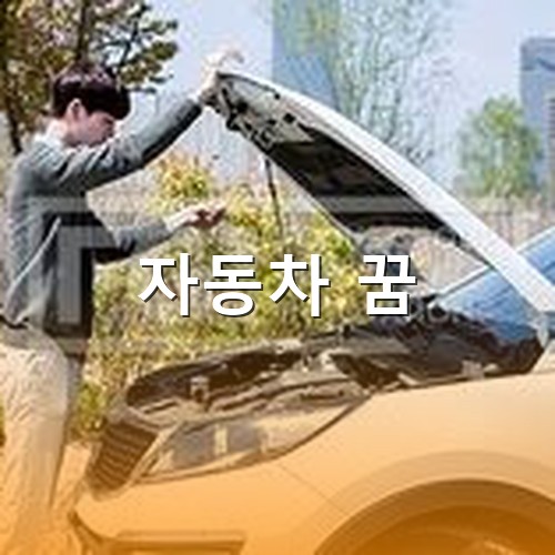 흰색-자동차가-고장나-앞-후렌다를-열어보는-남성