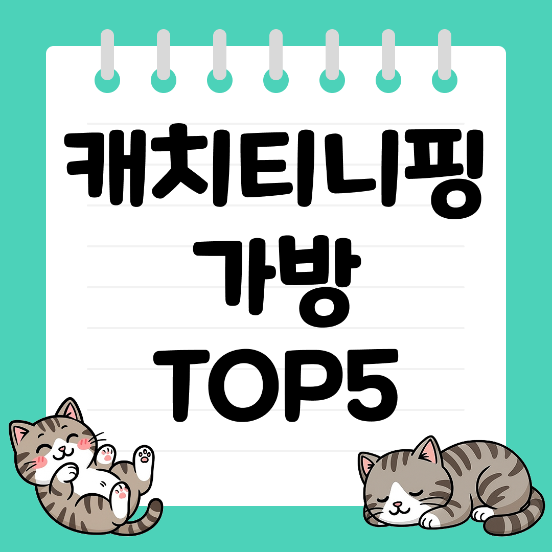 등교가 즐거워지는 캐치티니핑 가방 추천 TOP5