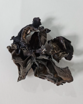 긍정농부차씨 목이버섯