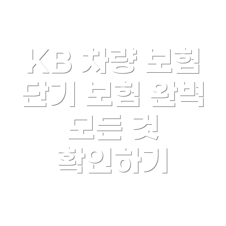 KB 법인 차량 보험