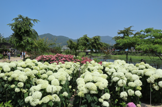 공주 vs 천안 생활비 체감 비교 — 숫자보다 중요한 것은 ‘도시 구조가 만드는 체감 비용’