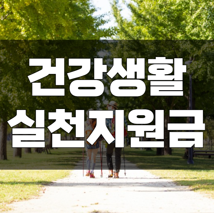 건강생활실천지원금 신청방법