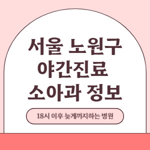 서울 노원구 야간진료 소아과 병원 (18시 이후 늦게까지하는 병원)
