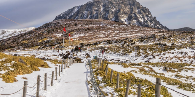 2025 제주 3박4일1