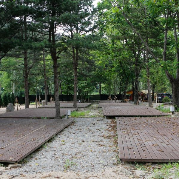 일반데크사이트