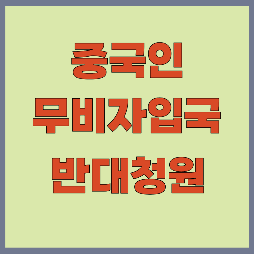 중국인 무비자 입국 반대 청원
