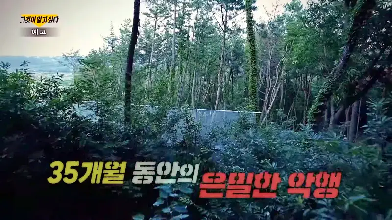 그알 그것이알고싶다 포항 고양이 연쇄 살해 사건 캣맘 불법 먹이 투기 행위 반대 캣 프레데터 강력 살인 범죄 징조 사례 1318회