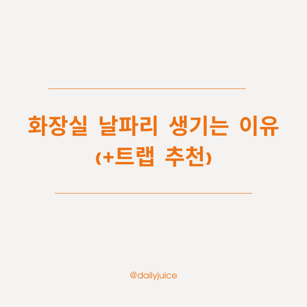 화장실 날파리 생기는 이유와 트랩 추천 썸네일