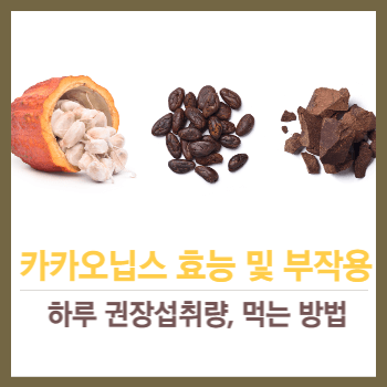 카카오닙스 효능 및 부작용, 하루권장섭취량, 먹는 방법