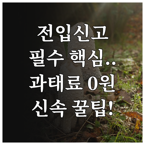 전입신고 필수 확인사항 과태료 없이 ..