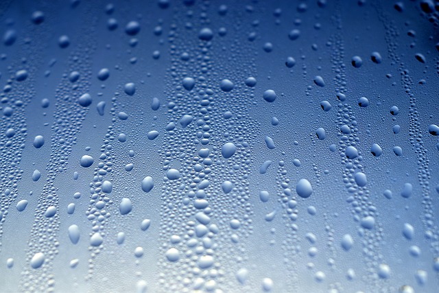 비오는 날, 빗길운전: 물웅덩이 안전하게 지나가는 기준