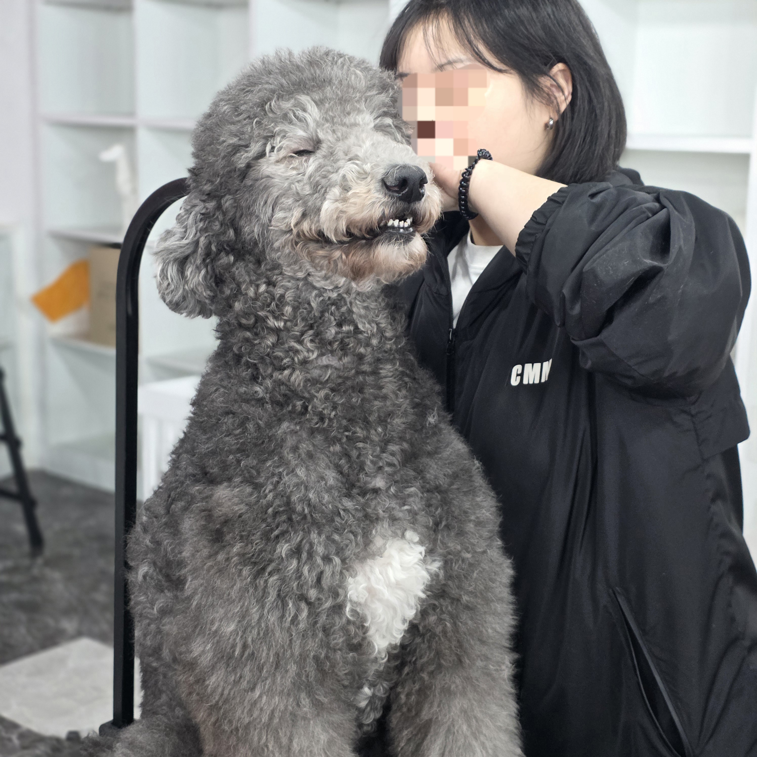 부산진구애견미용학원