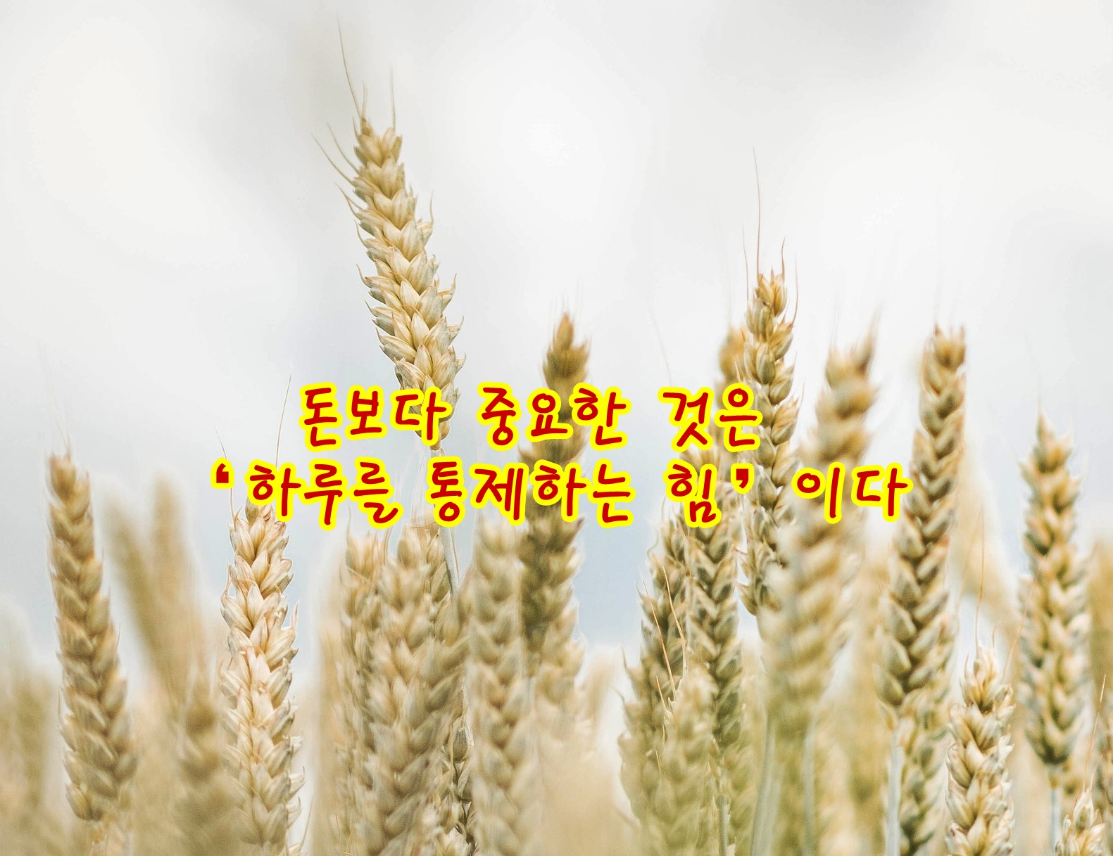 돈보다 중요한 것은 ‘하루를 통제하는 힘’이다