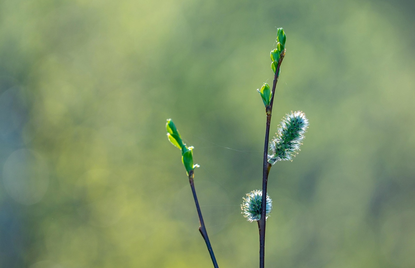 신장은 왜 밤이 되면 더 힘들어질까요?