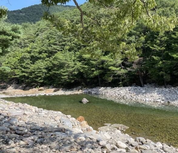 청도 가볼만한곳 베스트 10