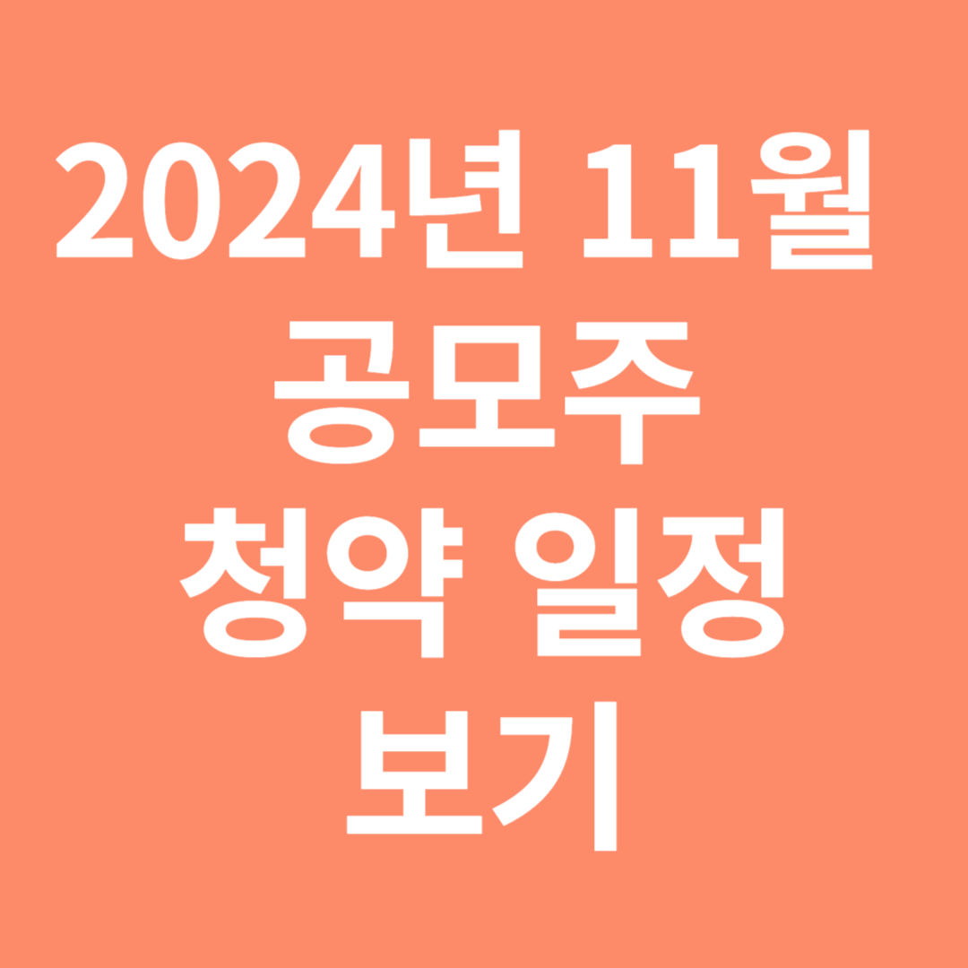 2024년 11월 공모주 청약 일정 보기