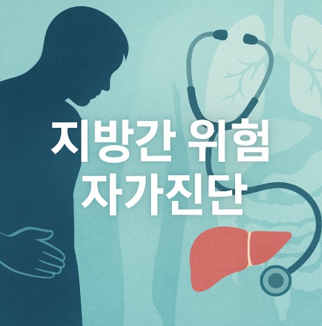 지방간 위험 체크 (원인, 진단, 예방법)