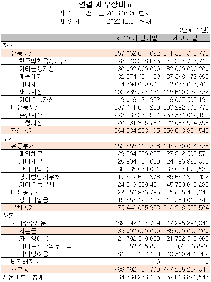 해성디에스 - 재무상태표