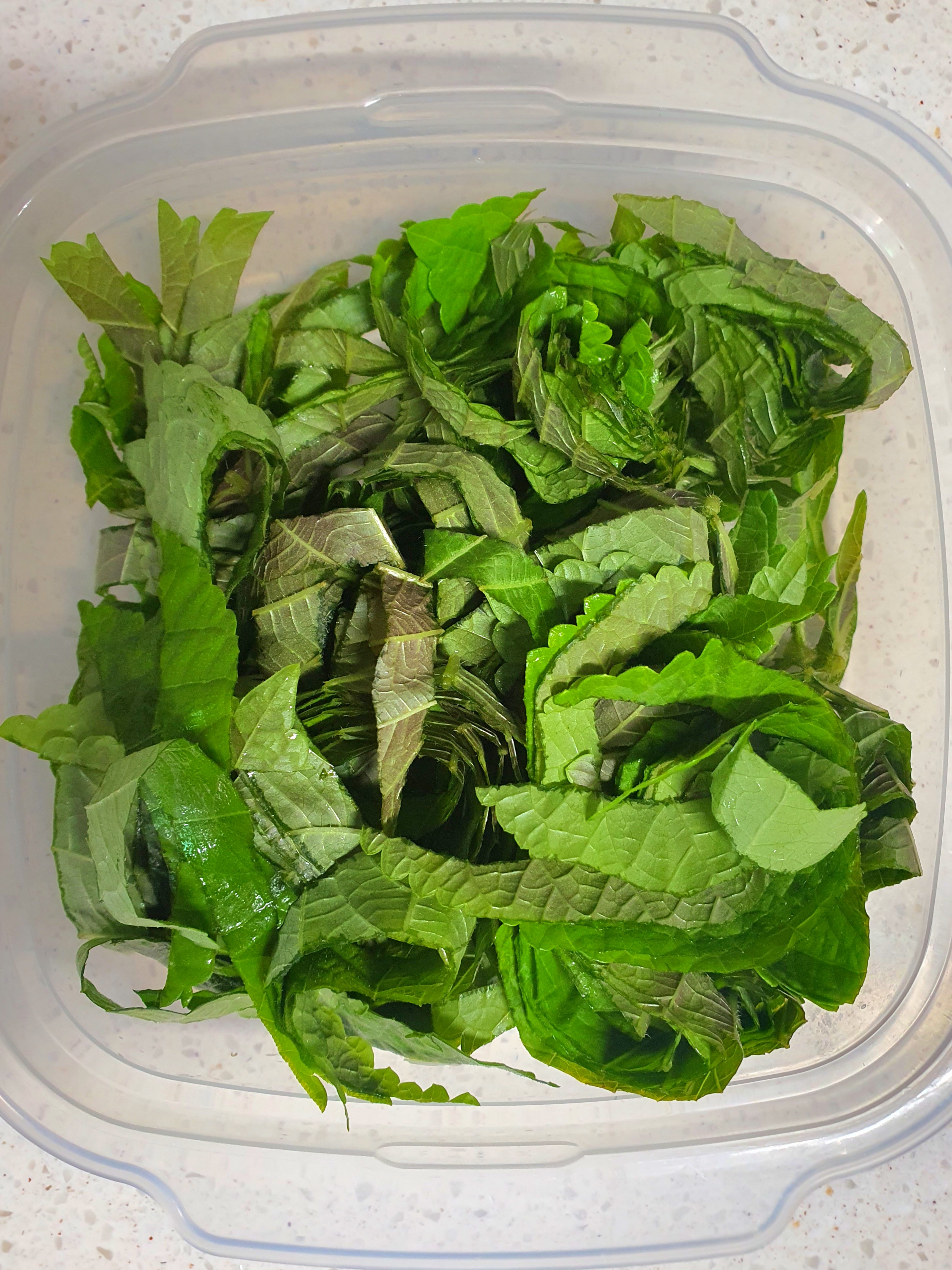 깻잎은-꼭-들어가야-맛있어요.