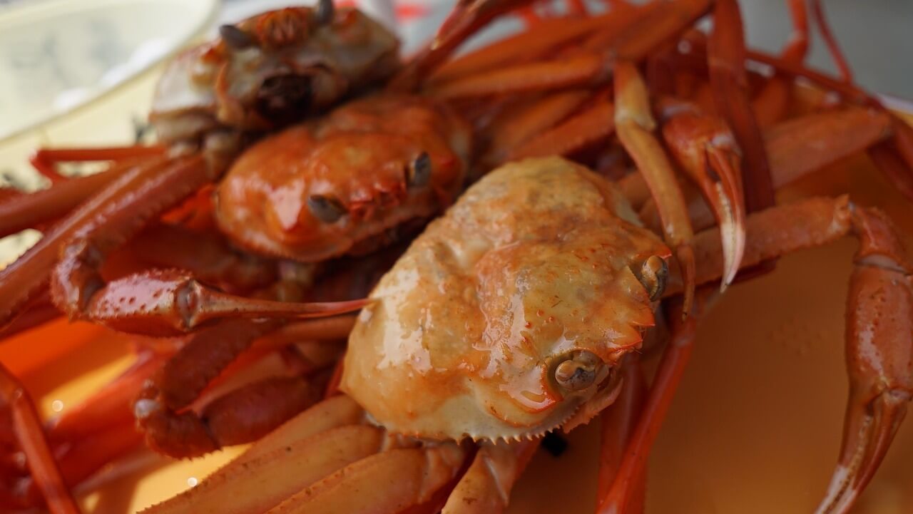 조선 해양일기에 기록된 경북 울진 대게