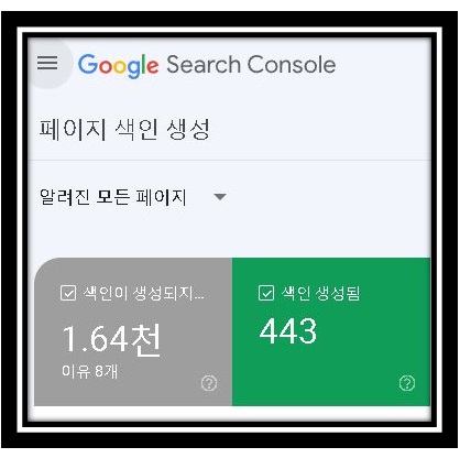 서치콘솔해결법