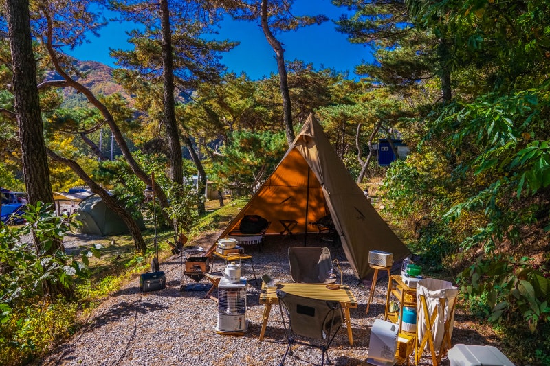 춘천 황금박쥐캠핑장 소개