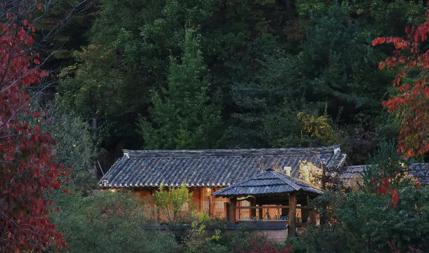 오하산방